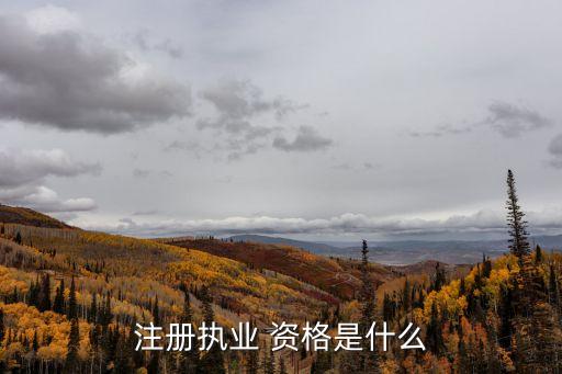 注册执业 资格是什么