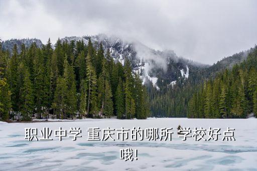  职业中学 重庆市的哪所 学校好点哦!