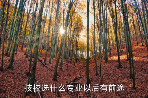  技校选什么专业以后有前途