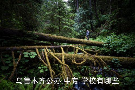 乌鲁木齐公办 中专 学校有哪些