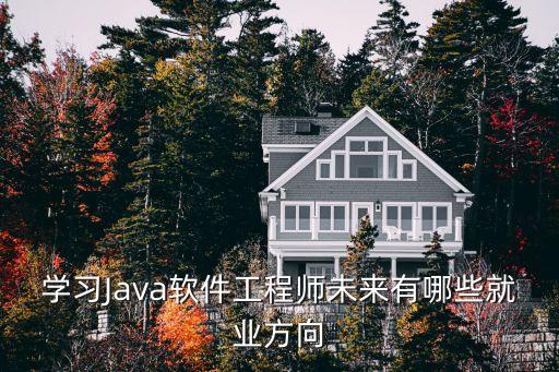 学习Java软件工程师未来有哪些就业方向