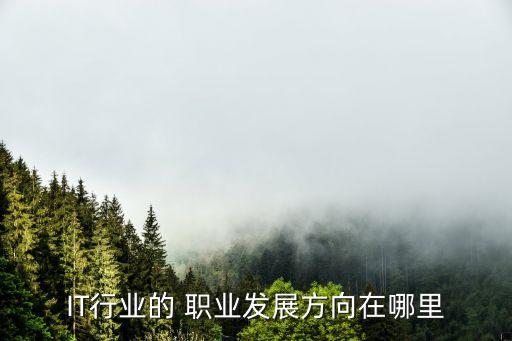 IT行业的 职业发展方向在哪里