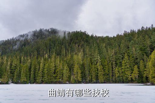  曲靖有哪些技校