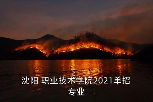  沈阳 职业技术学院2021单招 专业