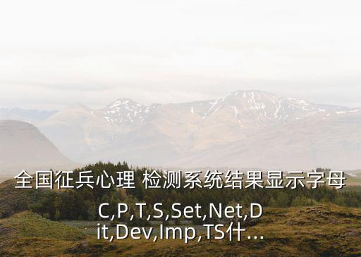 全国征兵心理 检测系统结果显示字母C,P,T,S,Set,Net,Dit,Dev,Imp,TS什...