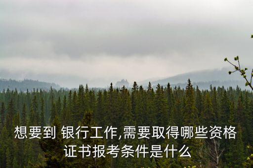 想要到 银行工作,需要取得哪些资格 证书报考条件是什么