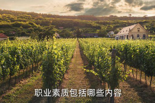  职业素质包括哪些内容
