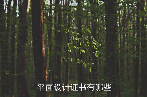 平面职业技能,职业技能包括哪些内容