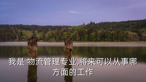 我是 物流管理专业,将来可以从事哪方面的工作