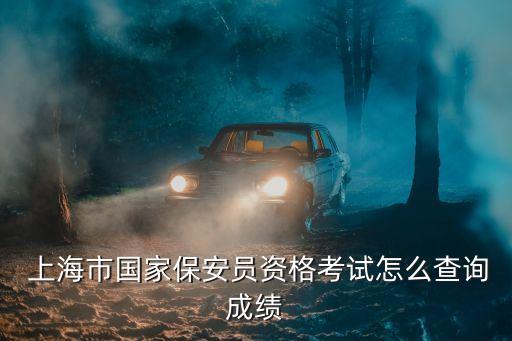  上海市国家保安员资格考试怎么查询成绩