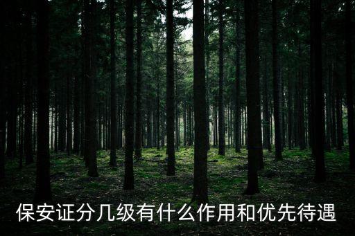 保安证分几级有什么作用和优先待遇