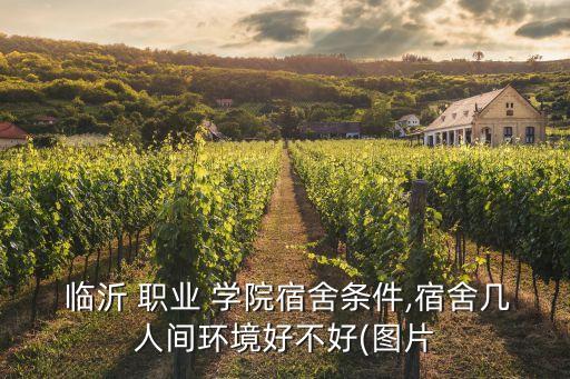  临沂 职业 学院宿舍条件,宿舍几人间环境好不好(图片
