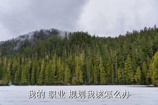 我的 职业 规划我该怎么办