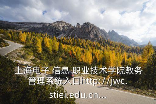  上海电子 信息 职业技术学院教务管理系统入口http://jwc.stiei.edu.cn...