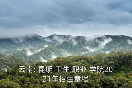 云南: 昆明 卫生 职业 学院2021年招生章程
