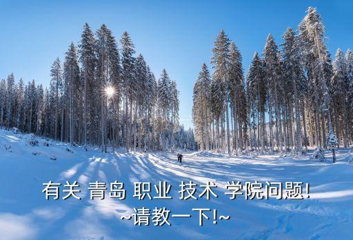 青岛职业技术学院从业