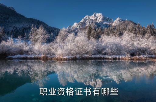  职业资格证书有哪些