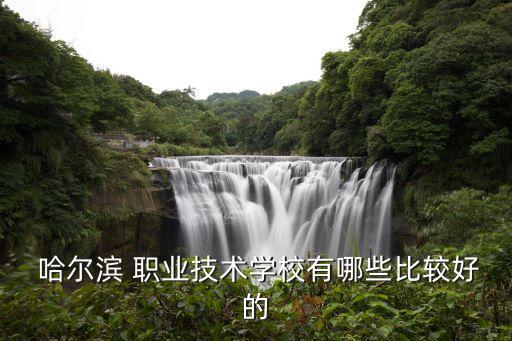  哈尔滨 职业技术学校有哪些比较好的