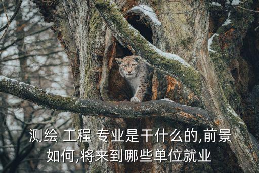  测绘 工程 专业是干什么的,前景如何,将来到哪些单位就业