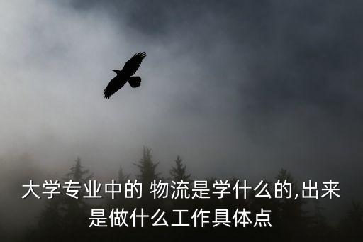 大学专业中的 物流是学什么的,出来是做什么工作具体点