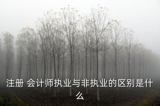注册 会计师执业与非执业的区别是什么