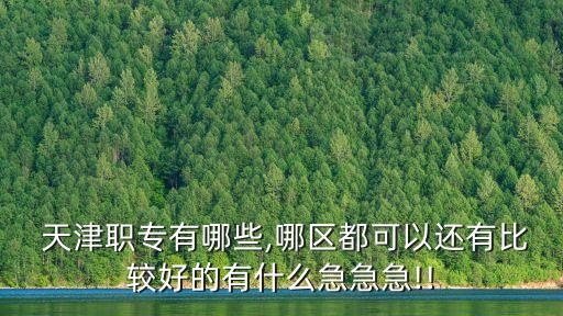  天津职专有哪些,哪区都可以还有比较好的有什么急急急!!