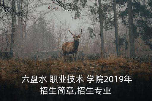 我要抱六盘水职业学院,六盘水职业学院宿舍条件及图片
