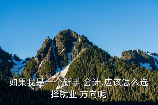 如果我是一个新手 会计,应该怎么选择就业 方向呢
