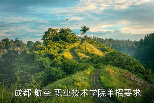 成都 航空 职业技术学院单招要求