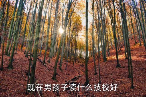 现在男孩子读什么技校好