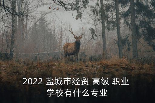 2022 盐城市经贸 高级 职业 学校有什么专业
