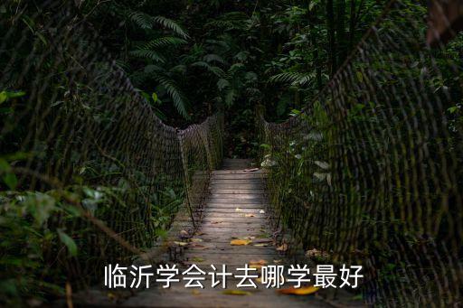  临沂学会计去哪学最好