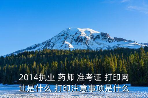 2014执业 药师 准考证 打印网址是什么 打印注意事项是什么