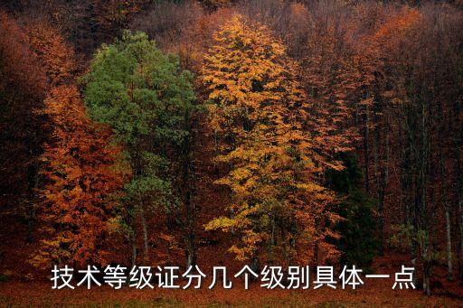  技术等级证分几个级别具体一点