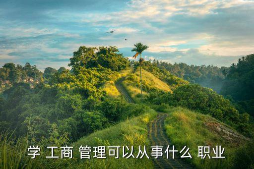 学 工商 管理可以从事什么 职业