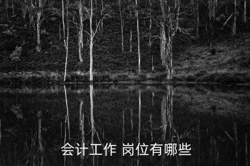  会计工作 岗位有哪些