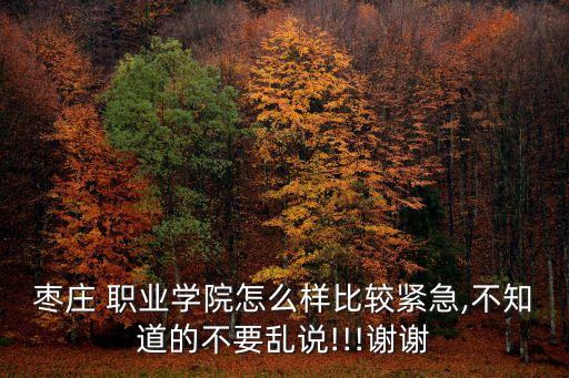 枣庄 职业学院怎么样比较紧急,不知道的不要乱说!!!谢谢