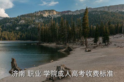  济南 职业 学院成人高考收费标准