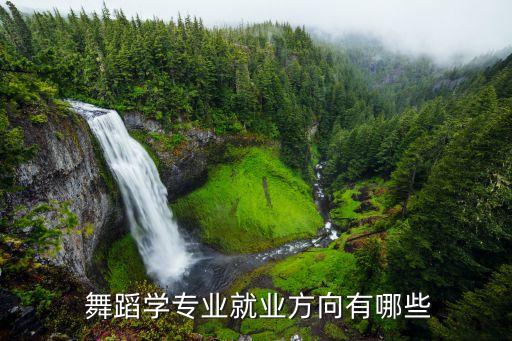  舞蹈学专业就业方向有哪些