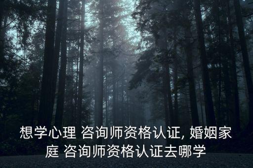 婚姻家庭咨询师国家职业官方网站