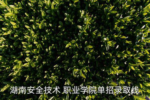 湖南安全技术 职业学院单招录取线