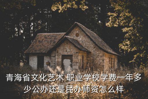 青海省文化艺术 职业学校学费一年多少公办还是民办师资怎么样