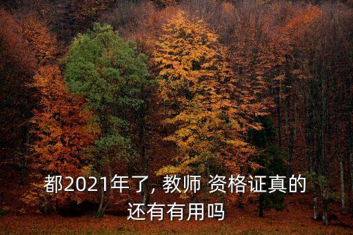 都2021年了, 教师 资格证真的还有有用吗