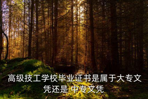  高级技工学校毕业证书是属于大专文凭还是 中专文凭