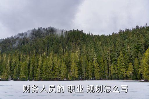 财务管理 职业生涯规划