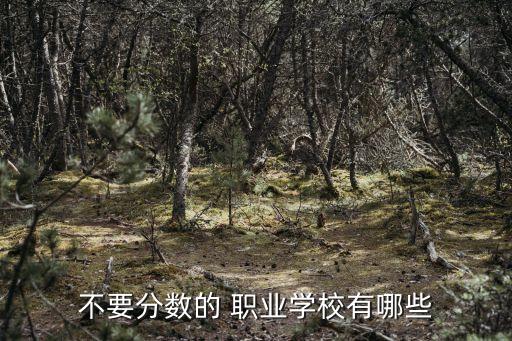 不要分数的 职业学校有哪些