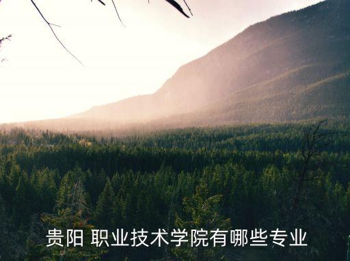  贵阳 职业技术学院有哪些专业