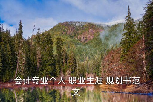  会计专业个人 职业生涯 规划书范文