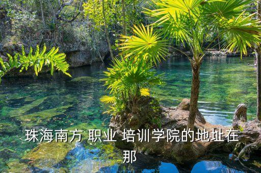  珠海南方 职业 培训学院的地址在那