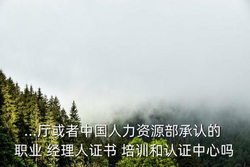 ...厅或者中国人力资源部承认的 职业 经理人证书 培训和认证中心吗